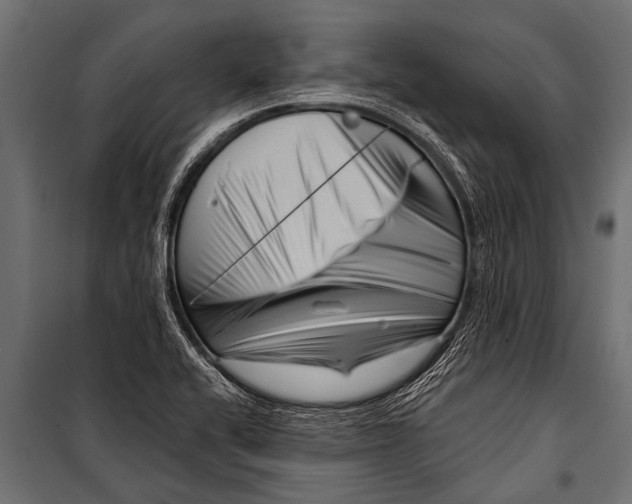 X0000099961416200806201326