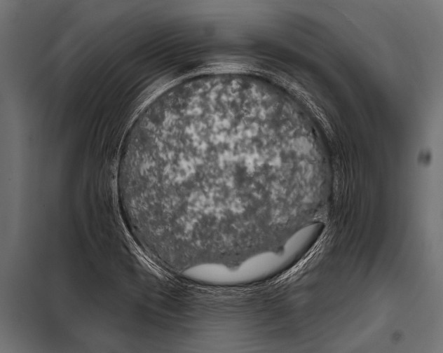 X0000099961417200806201326