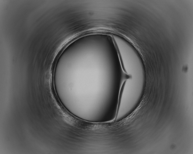 X0000099961418200806201326