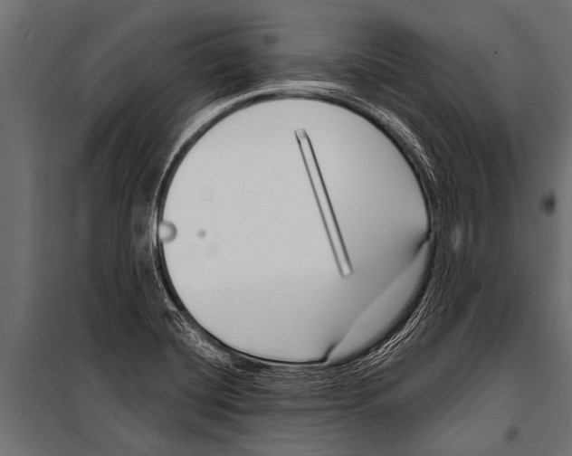 X0000099961420200806201326