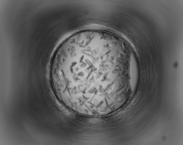 X0000099961421200806201326