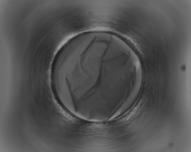 X0000099961422200806201326