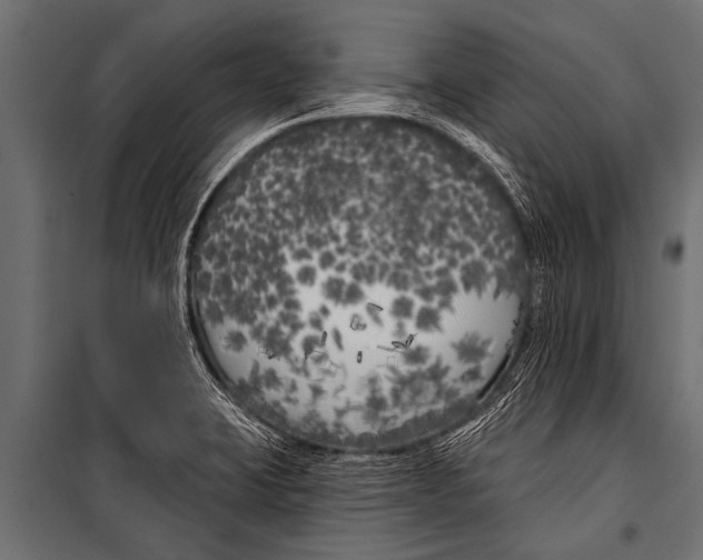 X0000099961423200806201326