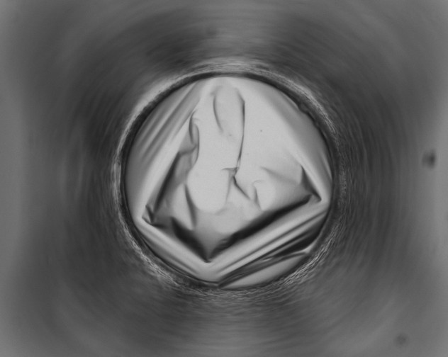 X0000099961424200806201326