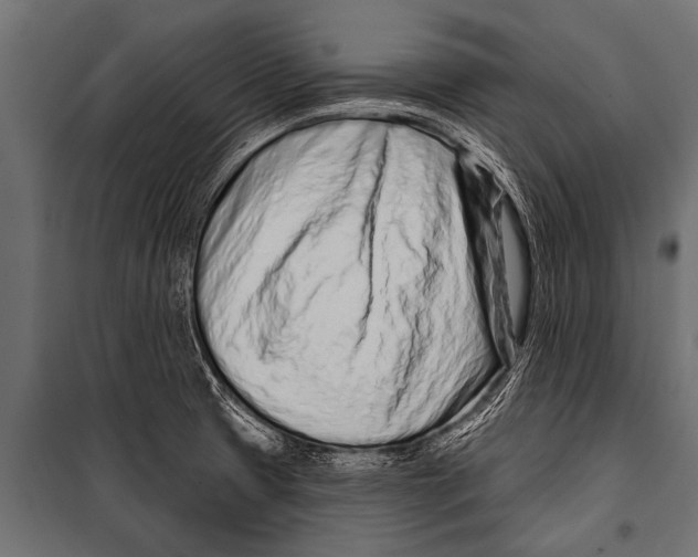 X0000099961425200806201326