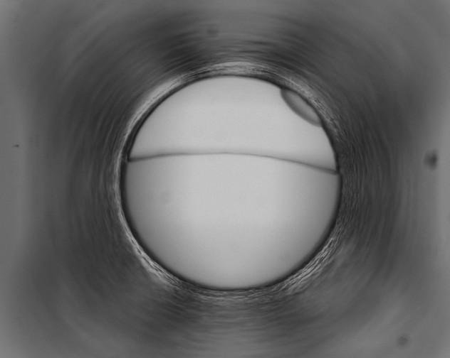 X0000099961426200806201326