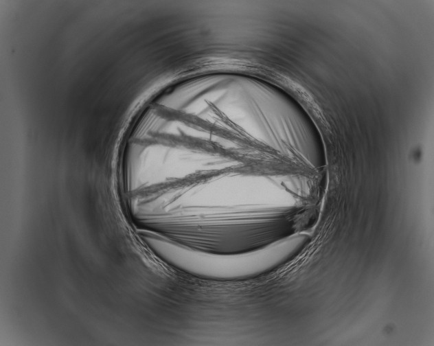 X0000099961427200806201326