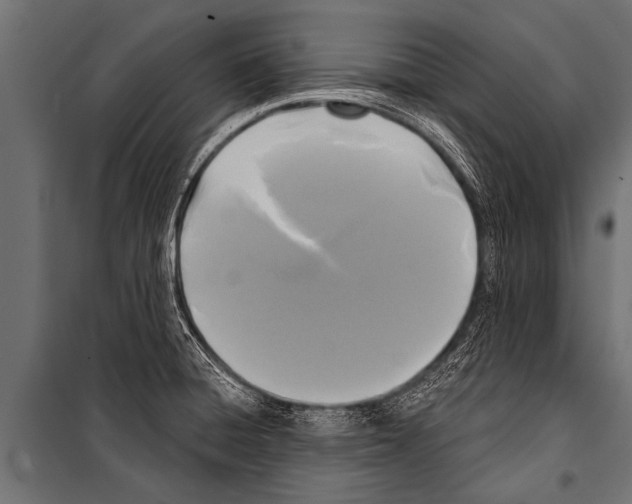 X0000099961428200806201326