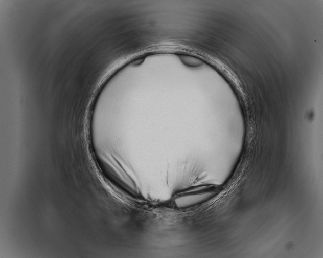 X0000099961429200806201327