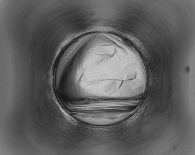 X0000099961430200806201327