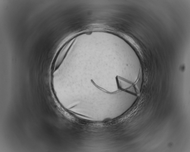 X0000099961431200806201327