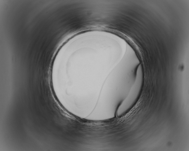 X0000099961432200806201327