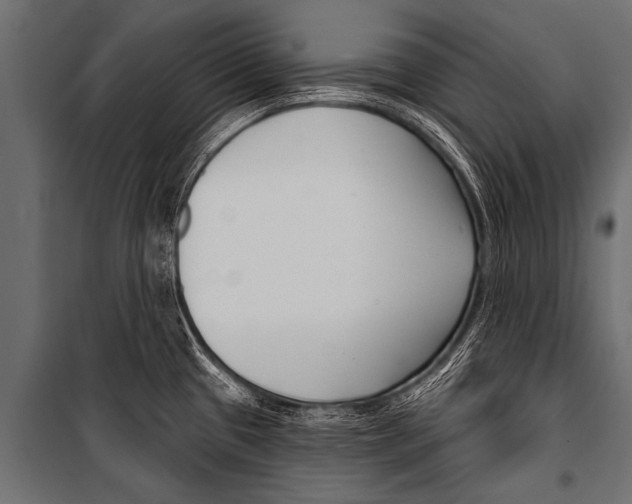 X0000099961433200806201327