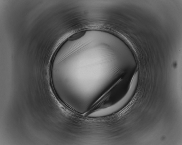 X0000099961434200806201327