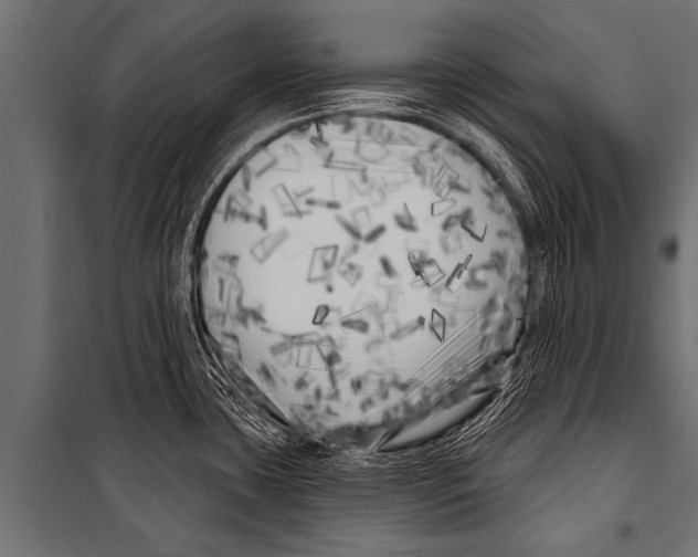 X0000099961435200806201327