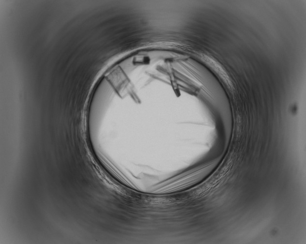 X0000099961436200806201327