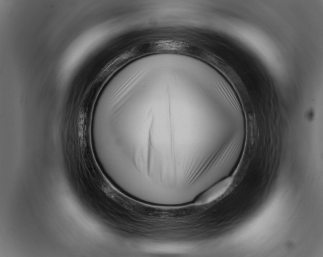 X0000099961438200806201327