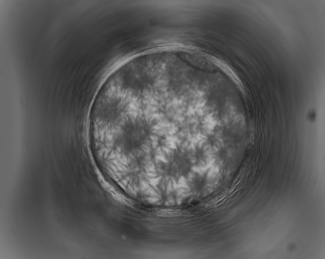 X0000099961439200806201327