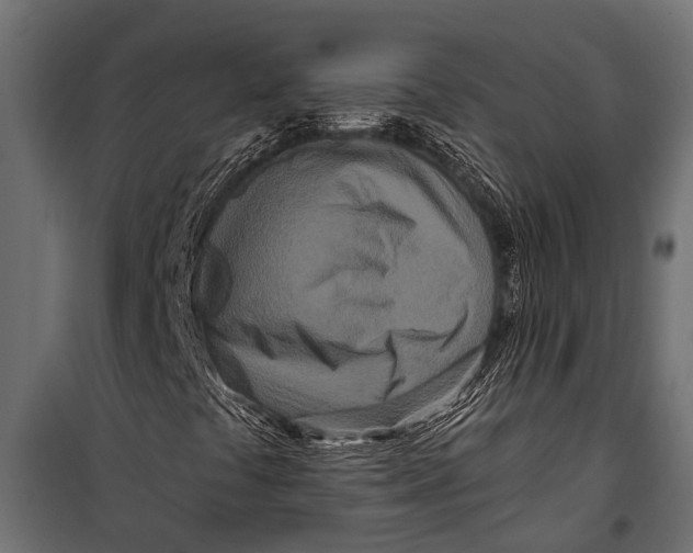 X0000099961441200806201326