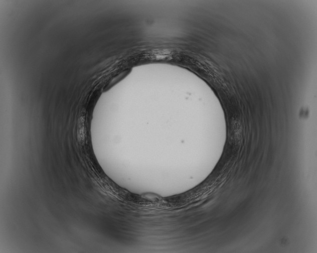 X0000099961442200806201326