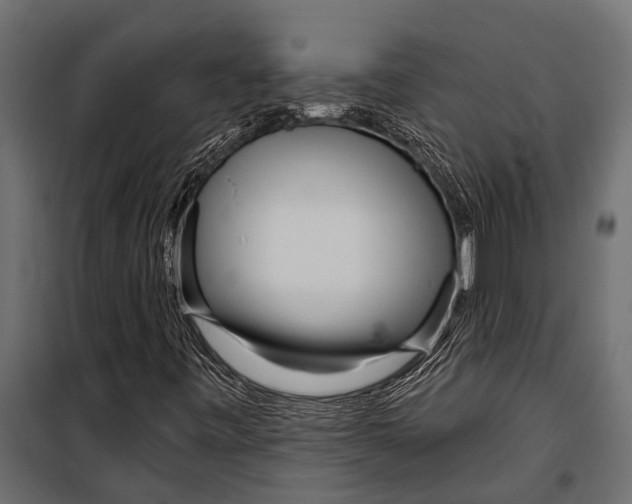 X0000099961443200806201326