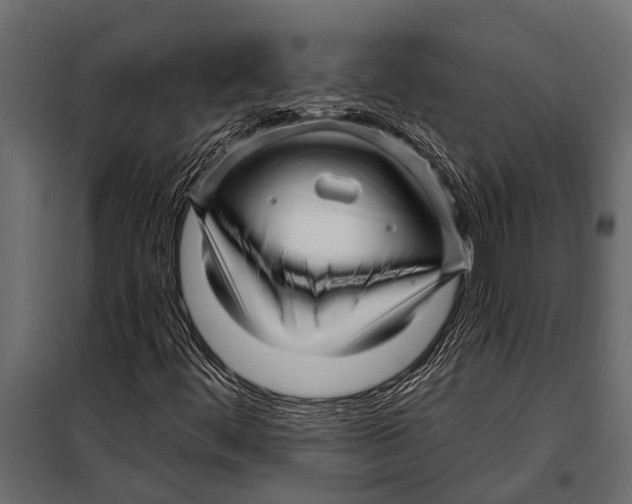 X0000099961444200806201326