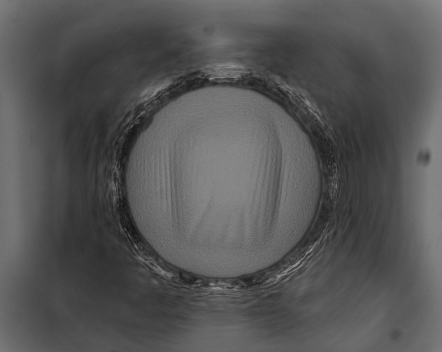 X0000099961445200806201326