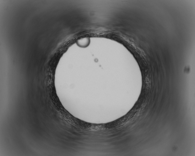 X0000099961447200806201326