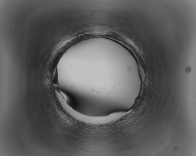 X0000099961448200806201326