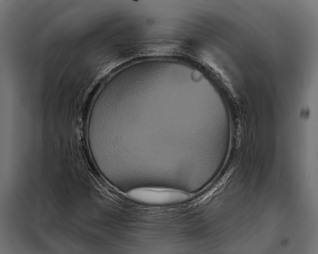 X0000099961449200806201326