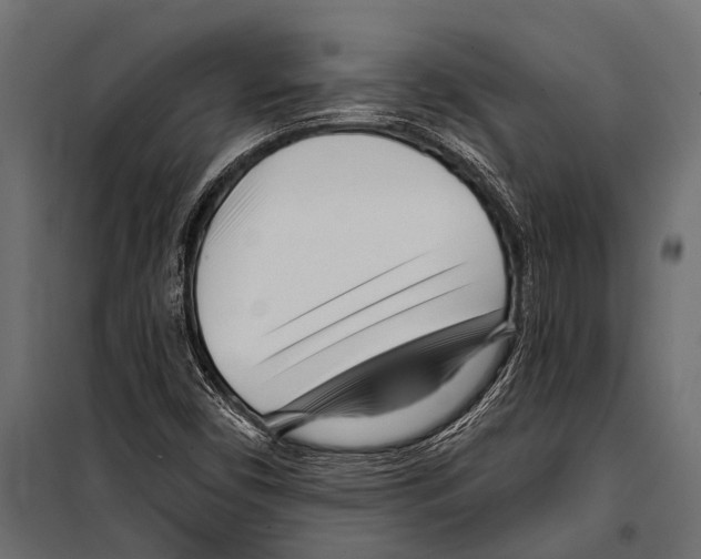 X0000099961450200806201326