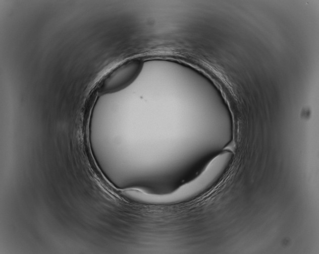 X0000099961452200806201326