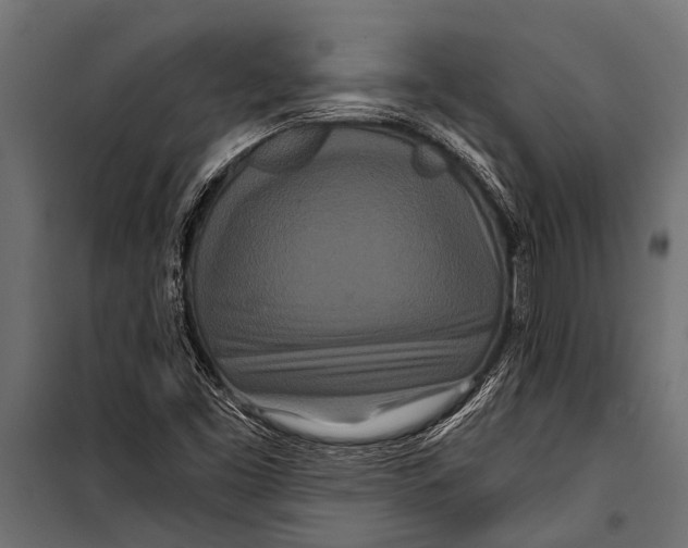 X0000099961453200806201326