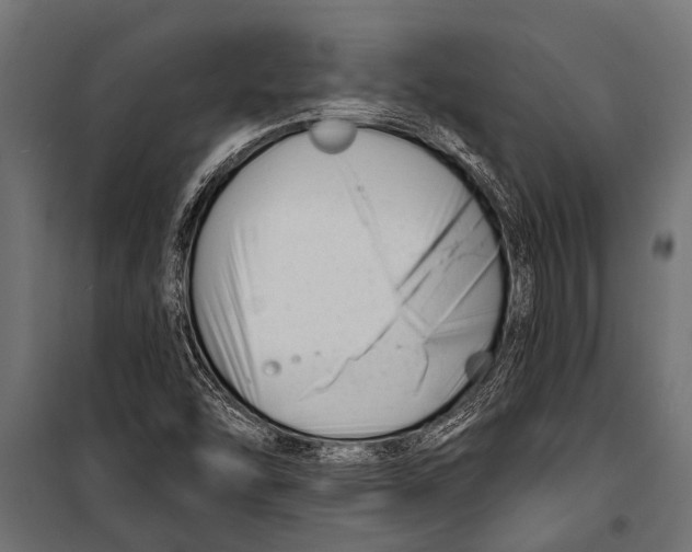 X0000099961454200806201326