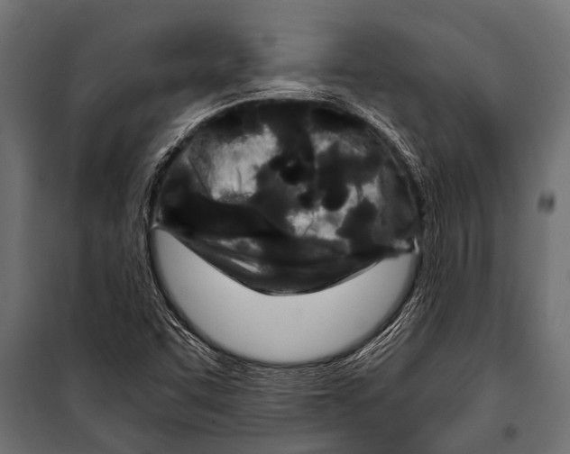 X0000099961455200806201326