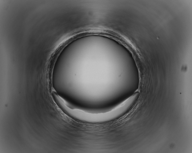 X0000099961456200806201326