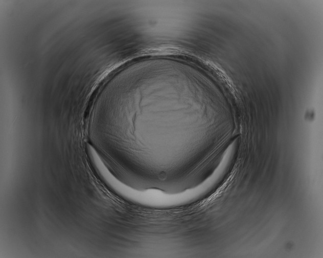 X0000099961457200806201326