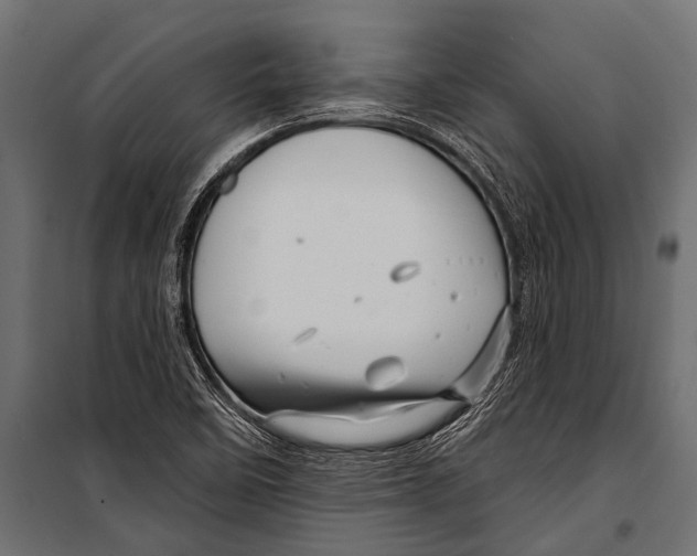 X0000099961458200806201326