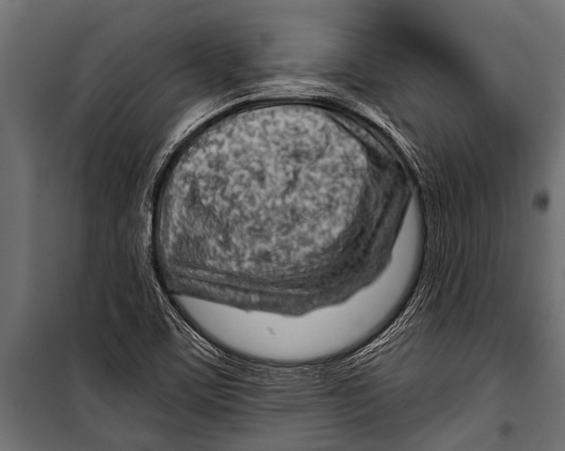 X0000099961459200806201326