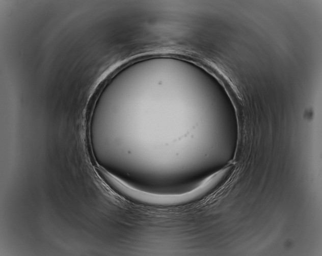 X0000099961460200806201326