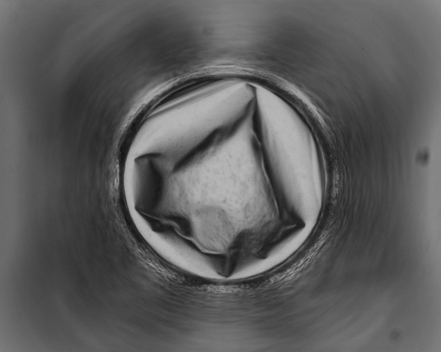 X0000099961461200806201326