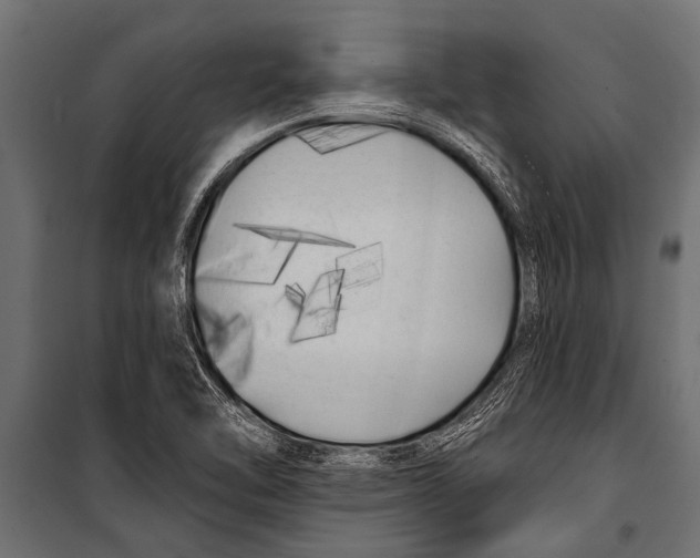 X0000099961462200806201326