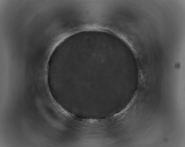 X0000099961463200806201326