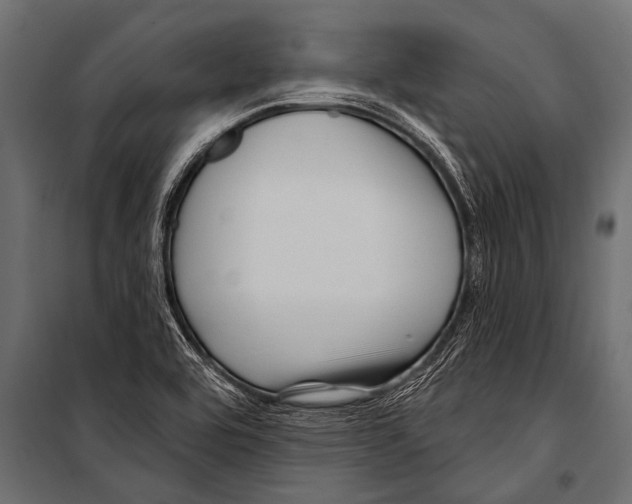 X0000099961464200806201326