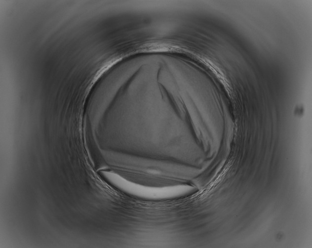 X0000099961465200806201326