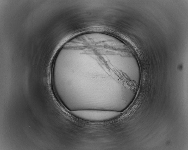 X0000099961467200806201326