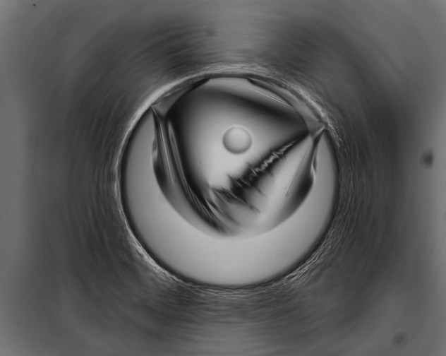 X0000099961468200806201326