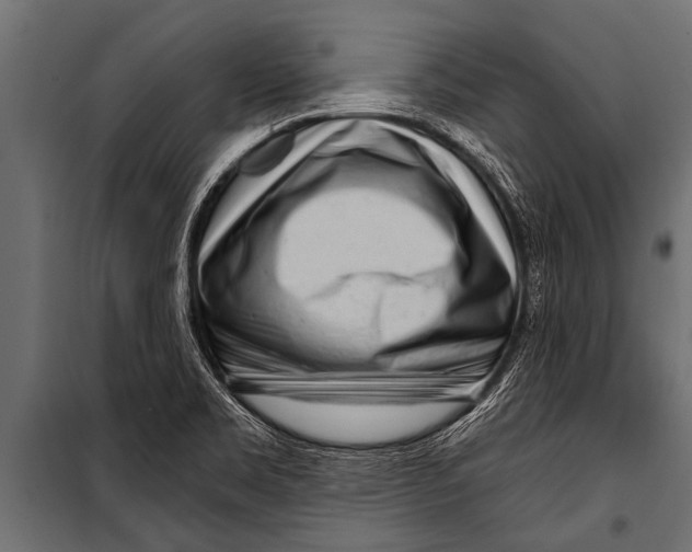 X0000099961469200806201326