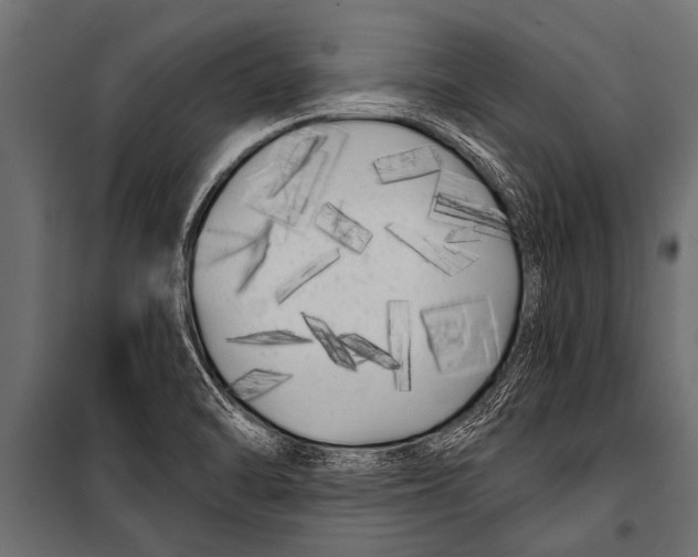 X0000099961470200806201325