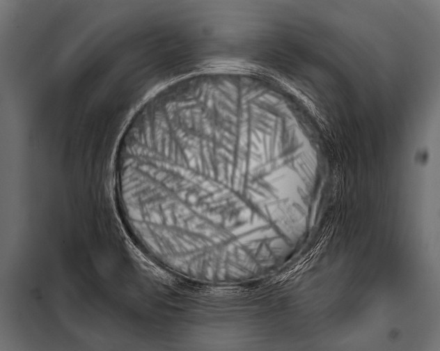 X0000099961471200806201325